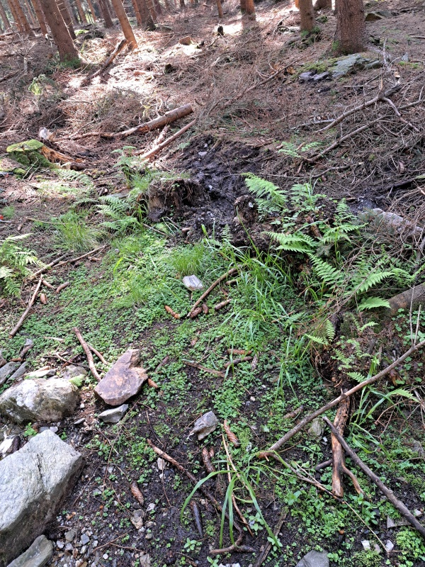 04_ODTOK ZE STUDÁNKY DTTO