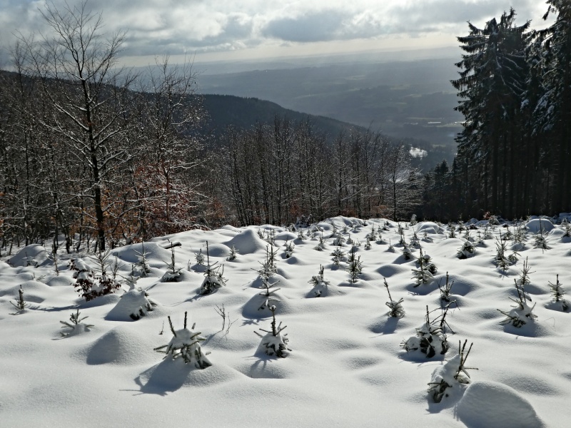 03. BYLA TO ZIMNÍ IDYLKA