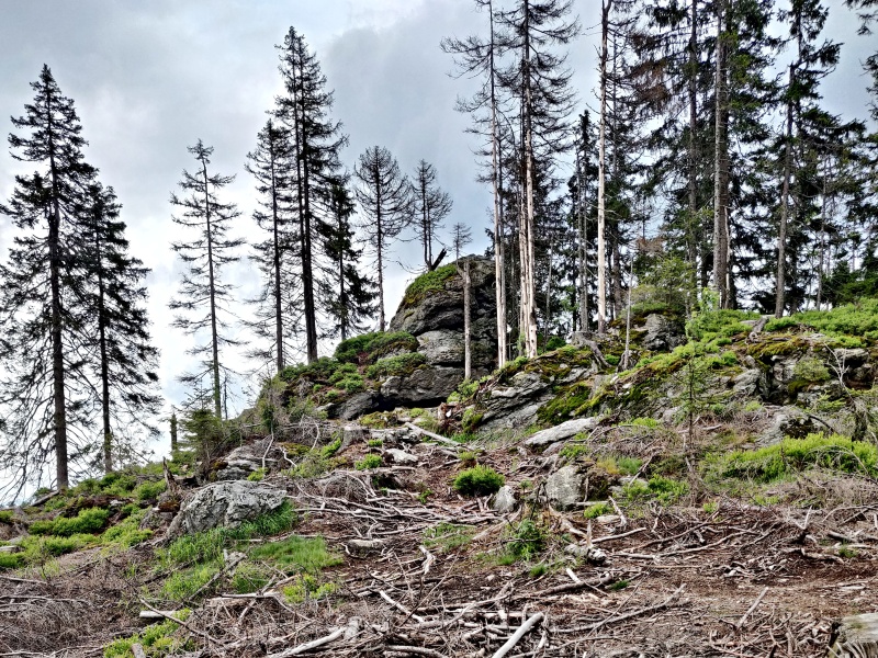 27_STALLRIEGELL 1228M.N.M