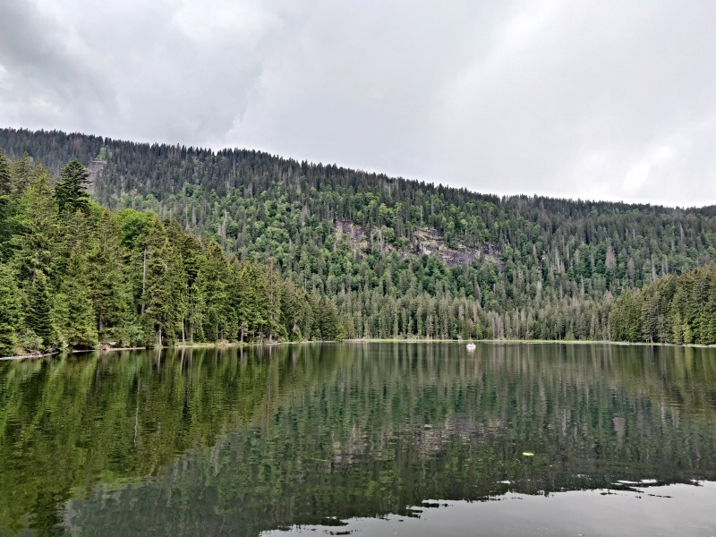 29_ARBERSEE